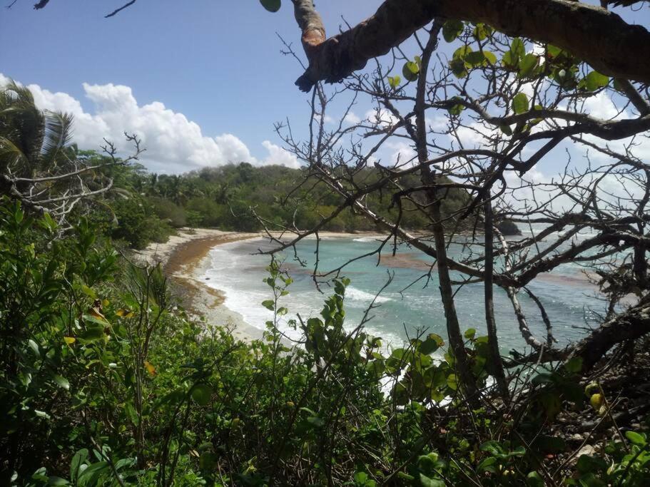 Vue Mer, Piscine, Appartement 4 Personnes Le Gosier  Buitenkant foto
