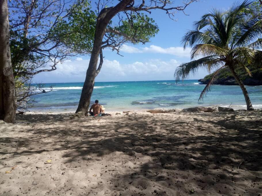 Vue Mer, Piscine, Appartement 4 Personnes Le Gosier  Buitenkant foto